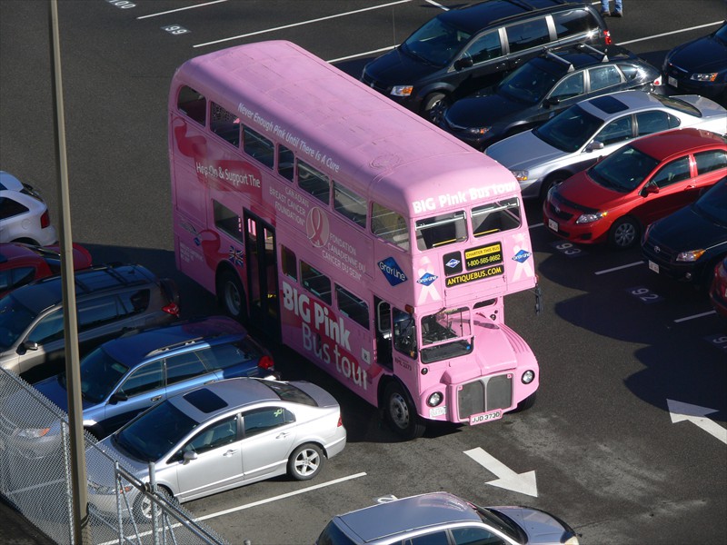 Big Pink Bus